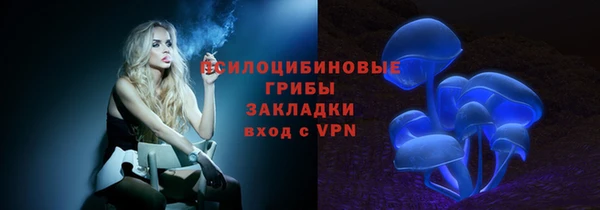 трава Беломорск