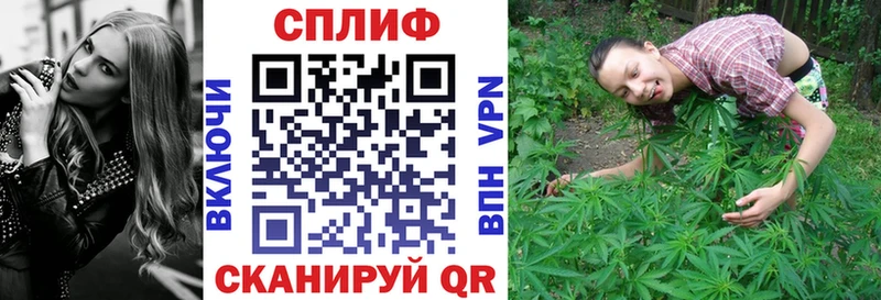 Бошки Шишки планчик  Кочубеевское 